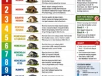 file_0000000005e87243800cd5f1e086b418
